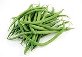 Tendergreen Green Bean Seeds, 50 Heirloom Seeds Per Packet, Non GMO Seeds photo / $5.79 ($0.12 / Count)