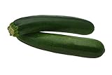 Black Beauty Zucchini Seeds - Non-GMO - 7 Grams, Approximately 60 Seeds photo / $3.99