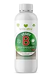 Symbioethical Veggy B - Fertilizante Vegetal con Magnesio, extracto de levadura y Algas pardas para hortalizas de Interior y Exterior - Cultivo ORGÁNICO - 500 ml foto / 9,90 €