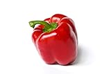 Yolo Wonder L Red Sweet Bell Pepper Seeds, 100 Heirloom Seeds Per Packet, Non GMO Seeds, Botanical Name: Capsicum annuum, Isla's Garden Seeds photo / $5.99 ($0.06 / Count)