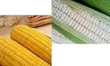 100 White & 100 Yellow Sticky Waxy Corn Seeds, Total 200 Seeds, Non GMO, Produce of The USA photo / $15.99 ($0.08 / Count)
