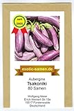 Aubergine - mittelspät - aus Griechenland - Tsakoniki - 80 Samen foto / 2,29 €
