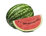 Crimson Sweet Watermelon Seeds - Non-GMO - 3 Grams photo / $3.99