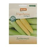 Bingenheimer Saatgut - Zuckermais Golden Bantam - Gemüse Saatgut / Samen foto / 5,00 € (250,00 € / kg)