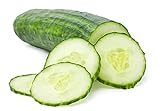Cucumber Seeds for Planting Outdoors, 210 Straight Eight Cucumber Seeds, Thicker Cucumbers Than with Persian Cucumber Seeds, 6.3 Grams photo / $6.97