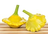Gelbe Ufo Zucchini Yellow Squash - 20 Samen foto / 3,59 €
