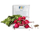500 Cherry Belle Radish Seeds, USA Grown - Easy to Grow Heirloom Radish Seeds - Spring Vegetable Garden Seeds, First Harvest in 25 Days - Non GMO Radish Seeds - Premium Red Radish Seeds by RDR Seeds photo / $5.99 ($0.01 / Count)