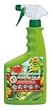 COMPO Grün- und Blühpflanzen Schädlings-frei AF, Bekämpfung von saugenden Insekten und Spinnmilben an allen Zierpflanzen, 750 ml foto / 9,15 € (12,20 € / l)