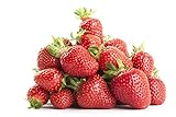 Strawberry Seeds-2000 Strawberry Seeds for Planting Indoors/Outdoors-Strawberry Seeds Heirloom Non GMO Organic-Alpine Strawberry Seeds for Planting Home Garden-Climbing Strawberry Tree Seeds photo / $12.99 ($0.01 / Count)