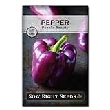 Sow Right Seeds - Purple Beauty Pepper Seed for Planting - Non-GMO Heirloom Packet with Instructions to Plant and Grow an Outdoor Home Vegetable Garden - Productive Sweet Bell Peppers - Great Gift photo / $5.49