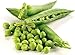 photo Non-GMO, Pea Seeds, 130 Seeds, Bend and Snap Pea