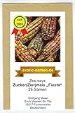 Mais - Zuckermais - Ziermais - Indianermais - Fiesta - 25 Samen foto / 2,39 € (0,10 € / stück)
