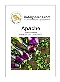 Zwiebelsamen Apache rote Lauchzwiebel Portion foto / 1,75 €