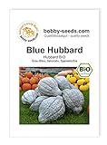 Blue Hubbard BIO Kürbissamen von Bobby-Seeds Portion foto / 2,75 €