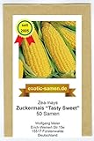 Zuckermais - Mais -Tasty Sweet F1 Hybride - sehr süß - früh reifend - 50 Samen foto / 2,49 €