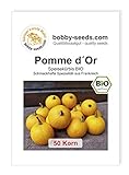 Pomme d´Or BIO Kürbissamen von Bobby-Seeds 50 Korn foto / 2,45 €