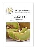 Melonensamen Exelor F1 Galiamelone Portion foto / 2,35 €