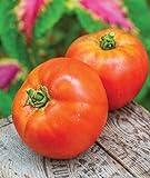 Burpee Better Boy Hybrid Large Slicing Red Variety Non-GMO Vegetable Planting | Disease-Resistant Tomato for Garden, 30 Seeds photo / $8.05 ($0.27 / Count)