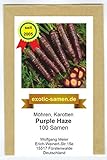 Karotte - Möhre - Purple Haze Hybrid - 100 Samen foto / 3,85 €