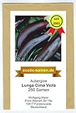 Aubergine - Lunga Cima Viola - alte italienische Regionalsorte - 250 Samen foto / 3,99 €