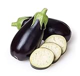 Eggplant Seeds for Planting Home Garden - Container Vegetable Garden - Black Beauty Eggplant photo / $5.98