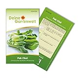 Pak Choi Chinesischer Senfkohl Samen - Brassica rapa - Kohlsamen - Gemüsesamen - Saatgut für 60 Pflanzen foto / 1,99 € (0,03 € / stück)