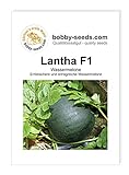 Melonensamen Lantha F1 Wassermelone Portion foto / 2,75 €