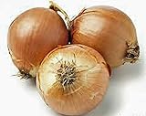 Onion, Yellow Spanish Onion Seeds, (25+ Seeds) Heirloom, Non- GMO, One of The Most Popular for Gardeners, This Jumbo-Sized Onion is mild with Golden Brown Skin. photo / $1.99