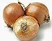 photo Onion, Yellow Spanish Onion Seeds, (25+ Seeds) Heirloom, Non- GMO, One of The Most Popular for Gardeners, This Jumbo-Sized Onion is mild with Golden Brown Skin.