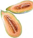 Banana Melon Cucumber Seeds, Exotic and Rare, 120 Heirloom Seeds Per Packet, Non GMO Seeds, Isla's Garden Seeds photo / $6.29 ($0.05 / Count)