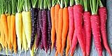 Rainbow Carrot Seeds for Planting | Non-GMO & Heirloom Vegetable Seeds | 750 Carrot Seeds to Plant Outdoor Home Garden | Buy Planting Packets in Bulk (1 Pack) photo / $7.99