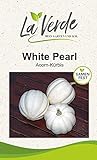 White Pearl Kürbissamen foto / 3,25 €