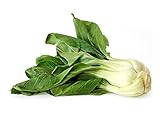 1000+ Canton Pak Choi Bok Choy Chinese Cabbage Seeds Heirloom Non-GMO Productive, Healthy, Brassica rapa VAR. chinensis, a.k.a. Canton's Choice, Bok Choi, US Grown! photo / $5.59