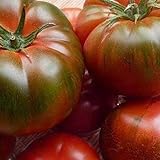 Tomate Muchamiel 25 x Samen aus Portugal 100% natürlich Aufzucht/absolute Rarität/Massenträger (Muchamiel) foto / 2,99 €