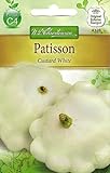 Chrestensen Patisson 'Custard White' foto / 2,65 €