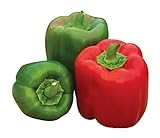 Burpee 'Sweet Candy Apple' Hybrid | Bell Pepper photo / $8.38 ($0.28 / Count)