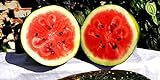 25 Moon and Star Watermelon Seeds | Non-GMO | Heirloom | Instant Latch Garden Seeds photo / $7.95