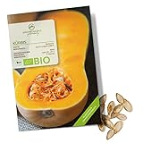 BIO Kürbis Samen (Butternut) - Kürbis Saatgut aus biologischem Anbau ideal für die Anzucht im Garten, Balkon oder Terrasse foto / 4,90 €