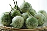 Thai Round Green Eggplant Seeds (25+ Seeds)(More Heirloom, Organic, Non GMO, Vegetable, Fruit, Herb, Flower Garden Seeds (25+ Seeds) at Seed King Express) photo / $4.69