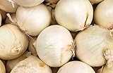 250 Early White Grano PRR Onion Seeds | Non-GMO | Heirloom | Instant Latch Garden Seeds photo / $5.95