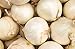 photo 250 Early White Grano PRR Onion Seeds | Non-GMO | Heirloom | Instant Latch Garden Seeds