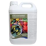 CULTIVERS Fertilizante Algas Marinas Líquido 5 L. Abono orgánico para plantas extracto de Ascophyllum nodosum. Potenciador de crecimiento, estimulador de raíces, mejora la producción y la calidad foto / 29,90 €