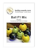 Kürbissamen Ball Mix F1 Zucchini Rondinimischung Portion foto / 2,95 €