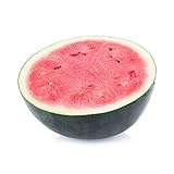50 Sugar Baby Watermelon Seeds for Planting - Heirloom Non-GMO USA Grown Premium Fruit Seeds for Planting a Home Garden - Small Watermelon Citrullus Lanatus by RDR Seeds photo / $4.99 ($0.10 / Count)
