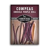 Survival Garden Seeds - Knuckle Purple Hull Cowpeas Seed for Planting - Packet with Instructions to Plant and Grow Delicious & Nutritious Peas in Your Home Vegetable Garden - Non-GMO Heirloom Variety photo / $4.99