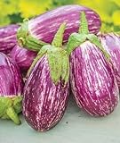 Exotic Listada de Gandia Eggplant Seed for Planting | 50+ Seeds | Ships from Iowa, USA | Non-GMO Exotic Heirloom Vegetables | Great Gardening Gift photo / $7.98