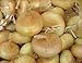 photo Onion Seeds - Borettana Cippolini - Classic Button Shape - 