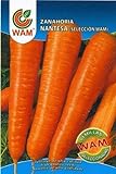 Zanahoria Nantesa WAM - Sobre de 10 gr foto / 2,01 €