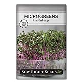 Sow Right Seeds - Red Cabbage Microgreen Seed for Growing - Instructions to Quickly Grow Your Own Delicious and Healthy Microgreens - Plant Indoors with no Special Equipment - Minimum 14g per Packet photo / $4.99