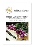 Zwiebelsamen Rossa Lunga di Firenze Lauchzwiebel Portion foto / 1,75 €